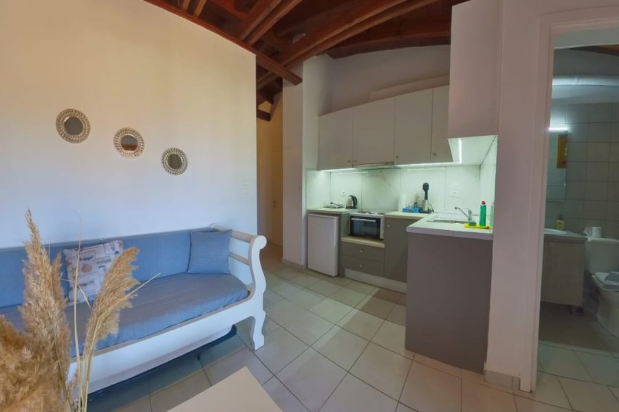 Loft with One Bedroom & Balcony